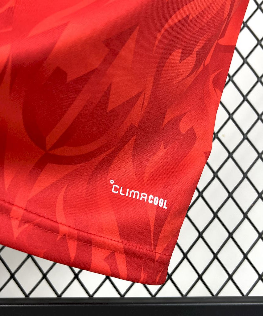 Belgium 2026 World Cup Home Jersey