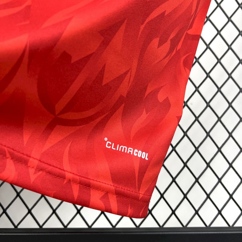 Belgium 2026 World Cup Home Jersey