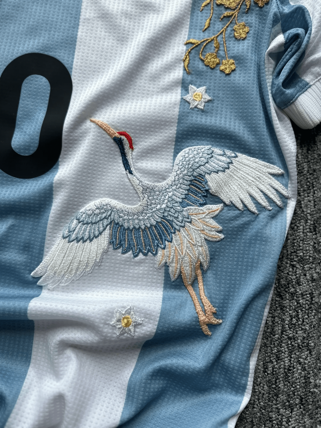 Argentina Embroidered Jersey